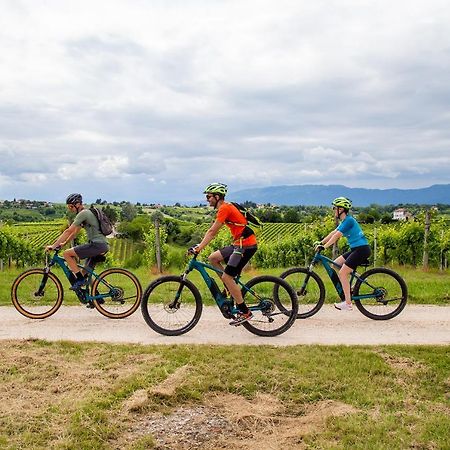 Agriturismo Vidalli Colvidor ภายนอก รูปภาพ