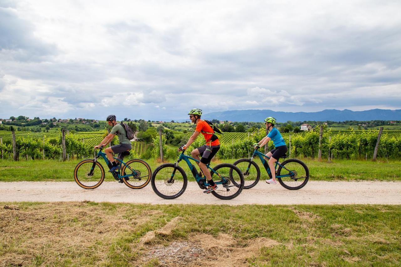 Agriturismo Vidalli Colvidor ภายนอก รูปภาพ